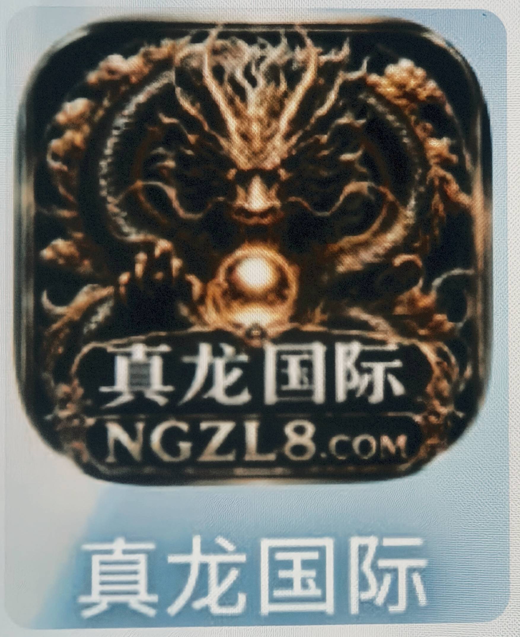真龙国际
